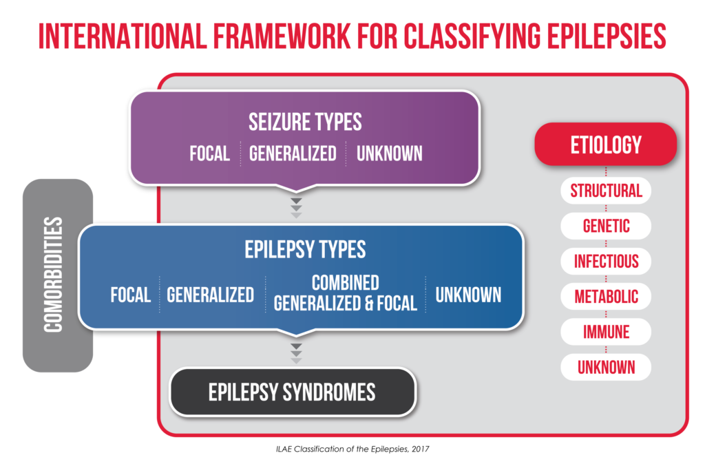 How to classify Epilepsy 