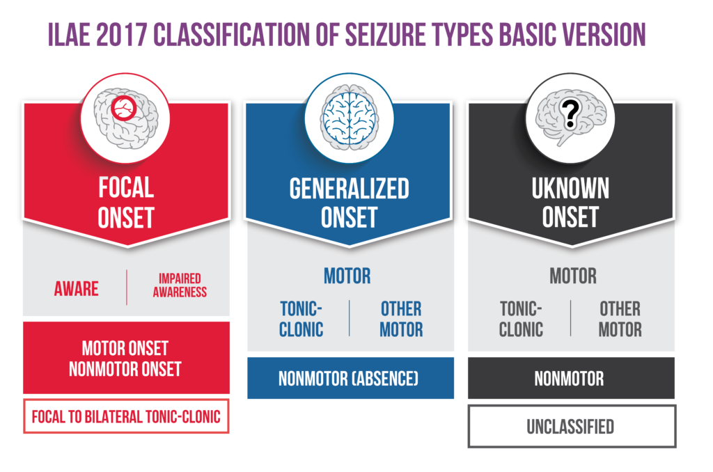 Classification of Seizures